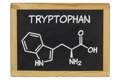 chemische Strukturformel von Tryptophan auf einer Schiefertafel